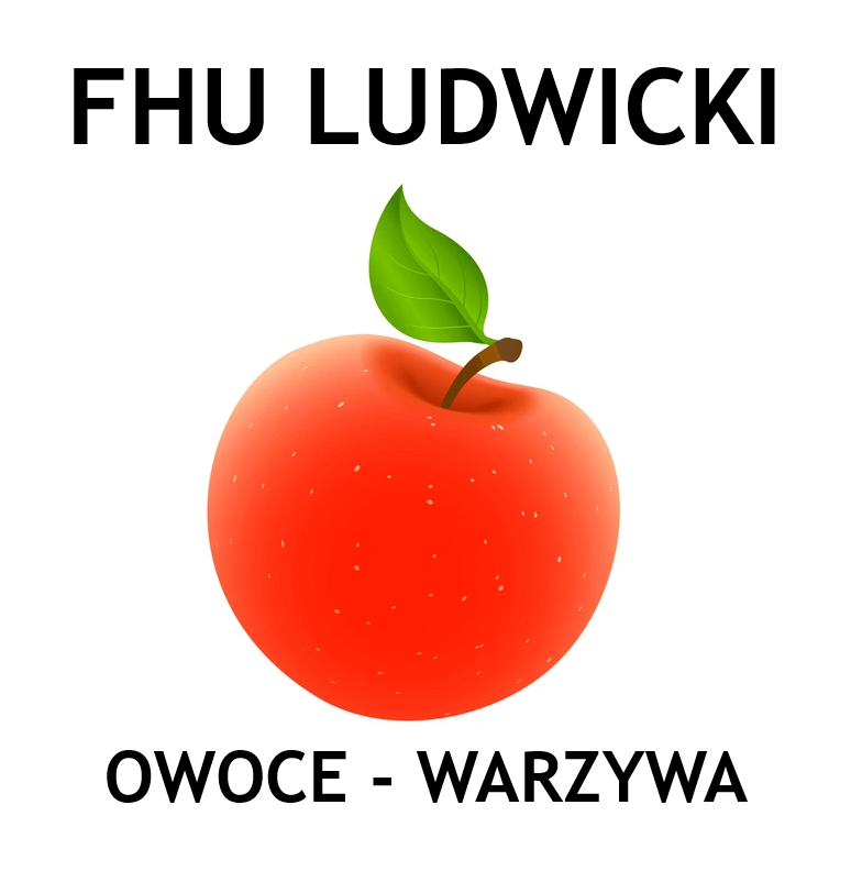 FHU LUDWICKI Marcin Ludwicki